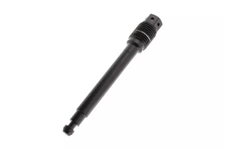PRO-BOLT pen voor padbevestiging titanium zwart - TIPINBP005RBK
