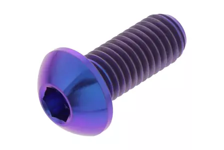 PRO-BOLT bromsskivebult M8x1.25 längd 20mm titan violett-1
