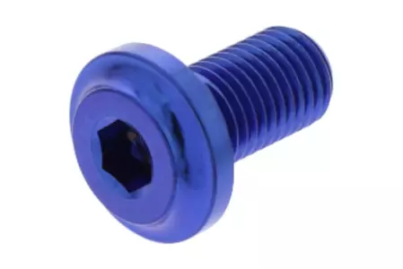 PRO-BOLT boulon de disque de frein M8x1.00 longueur 13mm titane bleu - TIDISCDUC50B