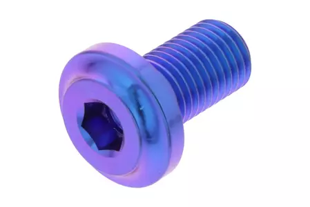 PRO-BOLT bremseskivebolt M8x1,00 længde 13mm titanium violet-1