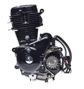 4T 167FMM ATV 250STXE motor-5