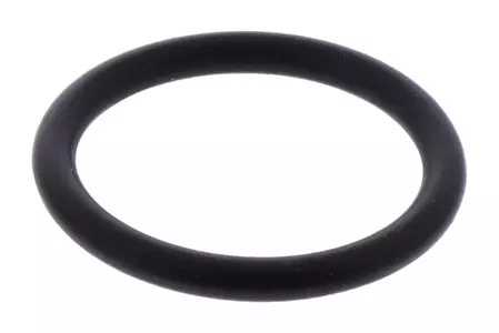 O-Ring borstelbevestigingspakking OEM Aprilia product - AP0250140