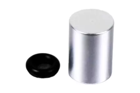 PRO-BOLT capac de supapă de roată 7 mm argintiu - LBNCOVER7S
