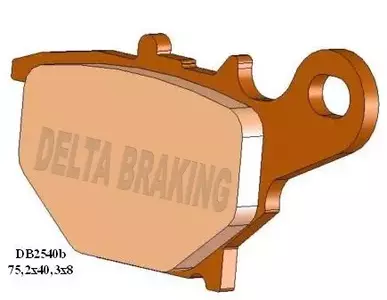 Pastiglie freno posteriore Delta Braking DB2540MX-N KH401 Suzuki RM 85-2