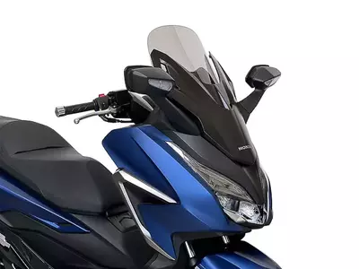 WRS Štandardné tónované čelné sklo na motocykel Honda Forza 350 - HO054F