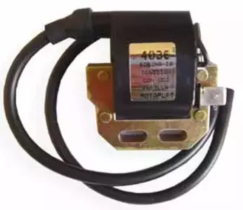 DZE Motoplat πηνίο ηλεκτρομαγνήτη - 4036-01