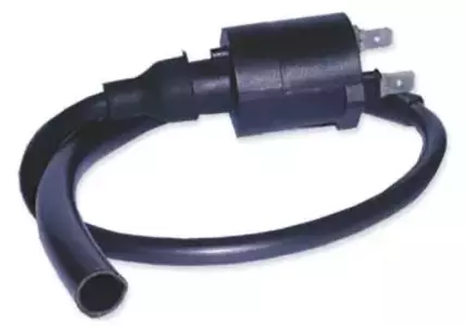 DZE bobine Honda TRX 400 FW 95-03, TRX 450S/ES/FW/FM/FE (30510-HM7-003) (VIC-14605) - 4018-01