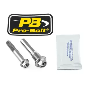 Комплект винтове за спирачен апарат Pro Bolt титаново сребро - TIRBMON180