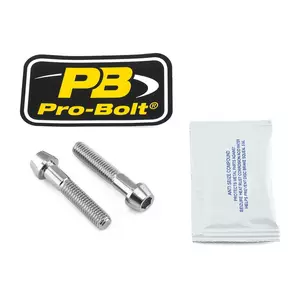 Boulon pour tampons en titane Pro Bolt - SSRBCALIP270