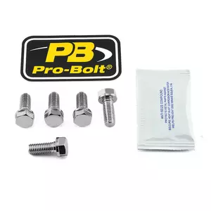 Pro Bolt Schraubensatz für Bremsscheiben aus Edelstahl - SS5DISCDUC40