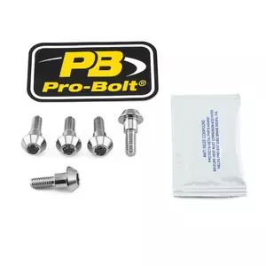 Pro Bolt Schraubensatz für Bremsscheiben aus Edelstahl - SS5DISCSUZ10