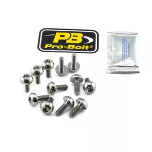 Pro Bolt Titan-Bremsscheiben-Schraubensatz - TI12DISCHONF