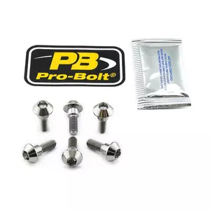 Pro Bolt Titan-Bremsscheiben-Schraubensatz - TI6DISCR1R6