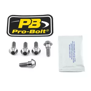 Pro Bolt Titan-Bremsscheiben-Schraubensatz - TI5DISCR1R6