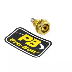 Pro Bolt Ölablassschraube magnetisch M12x1.5x15 gold - ALSUMP1215MAGG