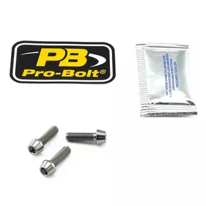 Pro Bolt titanbultar för broms- och kopplingsspakar - TIBCPERCH260