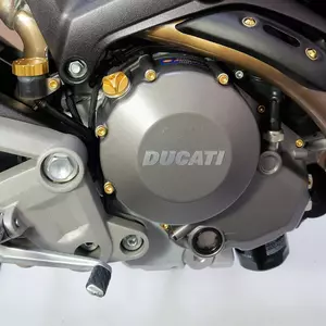 Set di viti Pro Bolt per coperchio motore in alluminio BMW oro-1