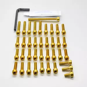 Set di bulloni per coperchio motore Kawasaki in alluminio Pro Bolt oro-1