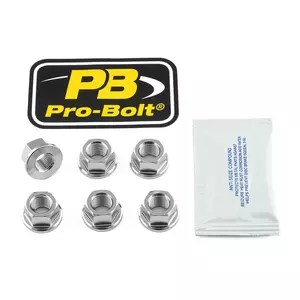 Porcas de roda dentada Pro Bolt em aço inoxidável M10x1 prata - SS6SPN10F