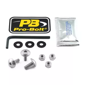 Pro Bolt tornillos de aluminio para matrícula plata - NPLATE10S