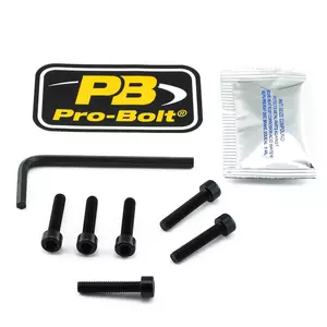 Pro Bolt tankdækselskruer sort-1