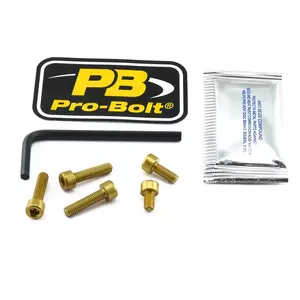 Винтове за капачката на резервоара Pro Bolt златни - TSU172G