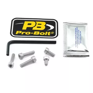 Pro Bolt skruvar för tanklock silver - TSU172S