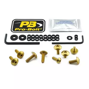 Pro Bolt aluminiu șuruburi de aluminiu set de șuruburi pentru carcase Triumph aur - FTR230G
