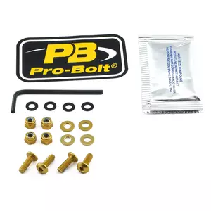 Bouten voorruitkuip Pro Bolt aluminium goud - SK412G