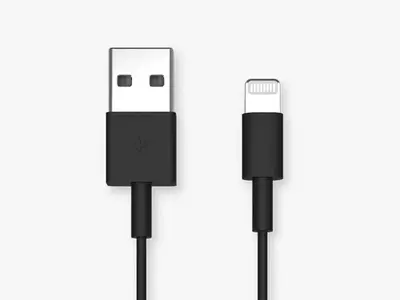 Nabíjecí kabel pro iPhone Quad Lock USB na Lightning 20 cm - QLA-USB-20L