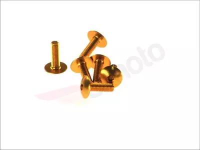 Schrauben für Windabweiser-Montage gold 6 Stück - VIC-TA620OR