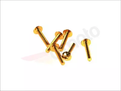Kruvi M5x30 lamedate allonide, kuldne värvus-1