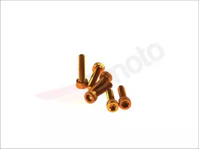 Schraube M5x20 für Verkleidungsmontage zylindrischer Inbus, gold 6 Stück. - VIC-TC520OR
