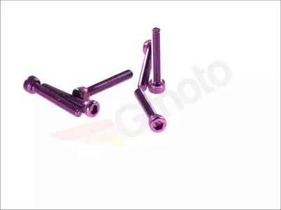 Allen varžtas M5x30 violetinės spalvos-1