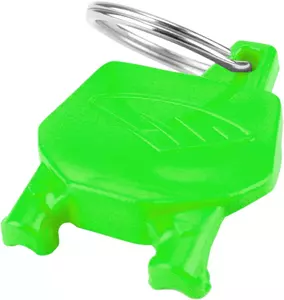 Obesek za ključe - registrska tablica Cikra zelena-1