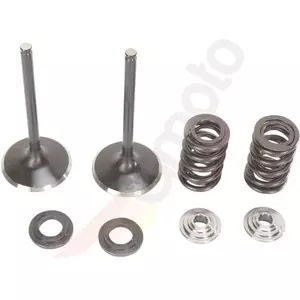 Conjunto de válvulas de aspiração em aço inoxidável - M30-31500