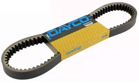 Cinghia di trasmissione Dayco - XTX1001