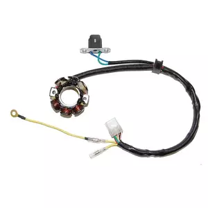 Electrosport alternador bobinado con luces Suzuki RMZ 450 05-07 50W (con pulsador) - ESL405