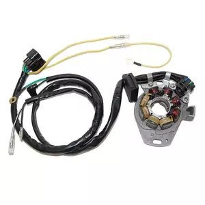 Avvolgimento alternatore Electrosport con luci Honda CR 125/250 (00-01) (35W) - ESL990