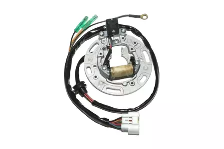 Electrosport статорна намотка за алтернатор Kawasaki KX 85 01-05 (с плоча и кабели) - ESC1366