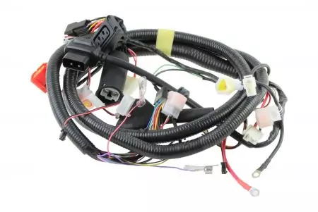 Mazo de cables Niu-1