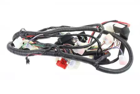Mazo de cables eléctricos Niu - 10401025