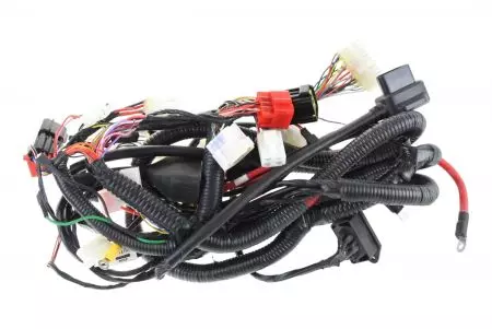 Mazo de cables eléctricos Niu - 10401027