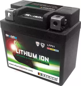 Lithium-ion batterij 12V 1 Ah Skyrich LT met laadindicator - LFP01