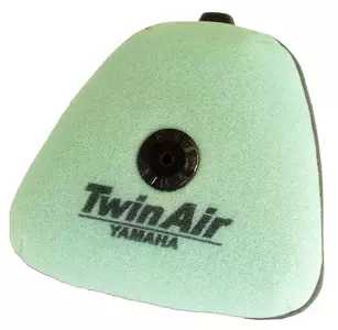 Kempininis oro filtras, įmirkytas "Twin Air" alyvoje - 152219FRX
