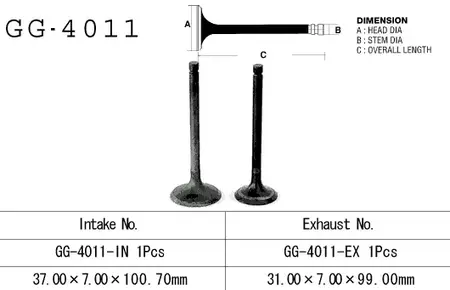 Vesrah GG-4011-IN usisni ventil-3