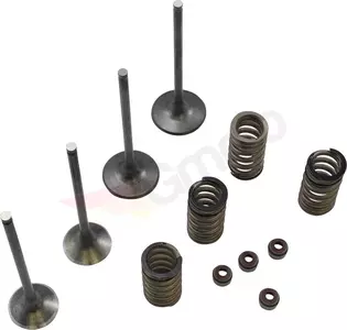 Conjunto de válvulas de aço com molas Wiseco-1