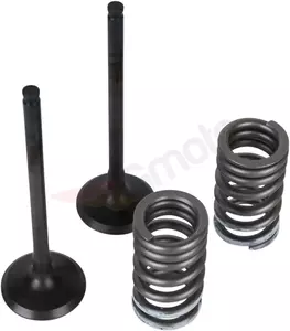 Conjunto de válvulas de aço com molas Wiseco-5