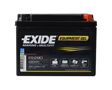 Batería sin mantenimiento Exide ES290 25AH 12V-1