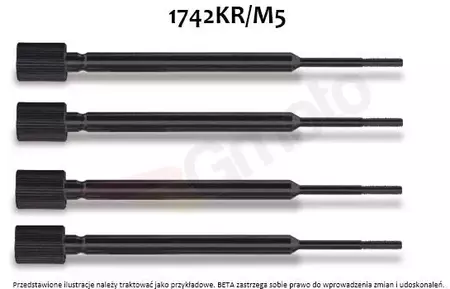 BETA Zylinderstift M5 für 1742 kpl 4St. - 1742KR/M5